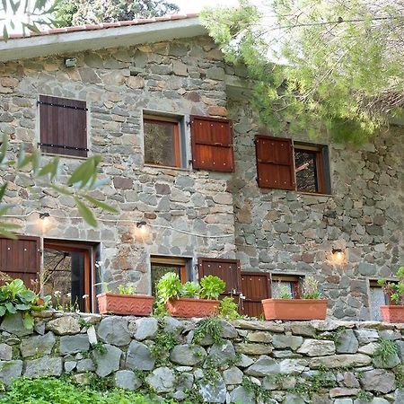 Due Pini Corniglia Exterior foto