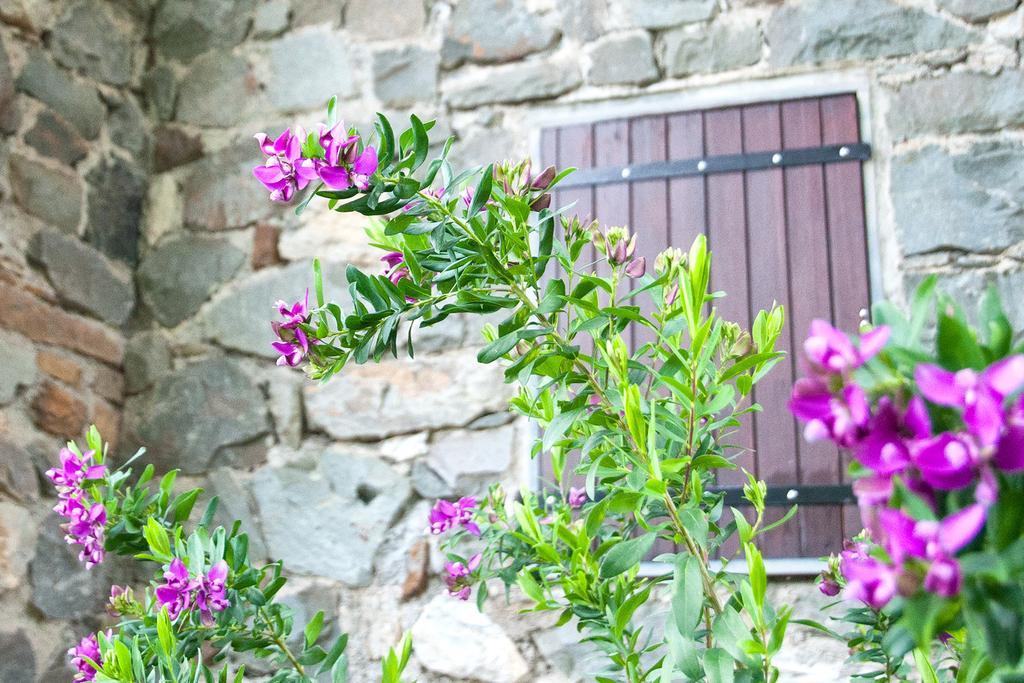 Due Pini Corniglia Exterior foto