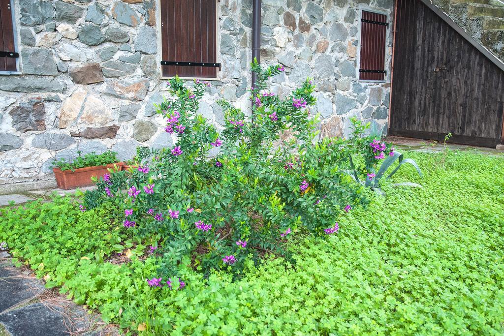 Due Pini Corniglia Exterior foto