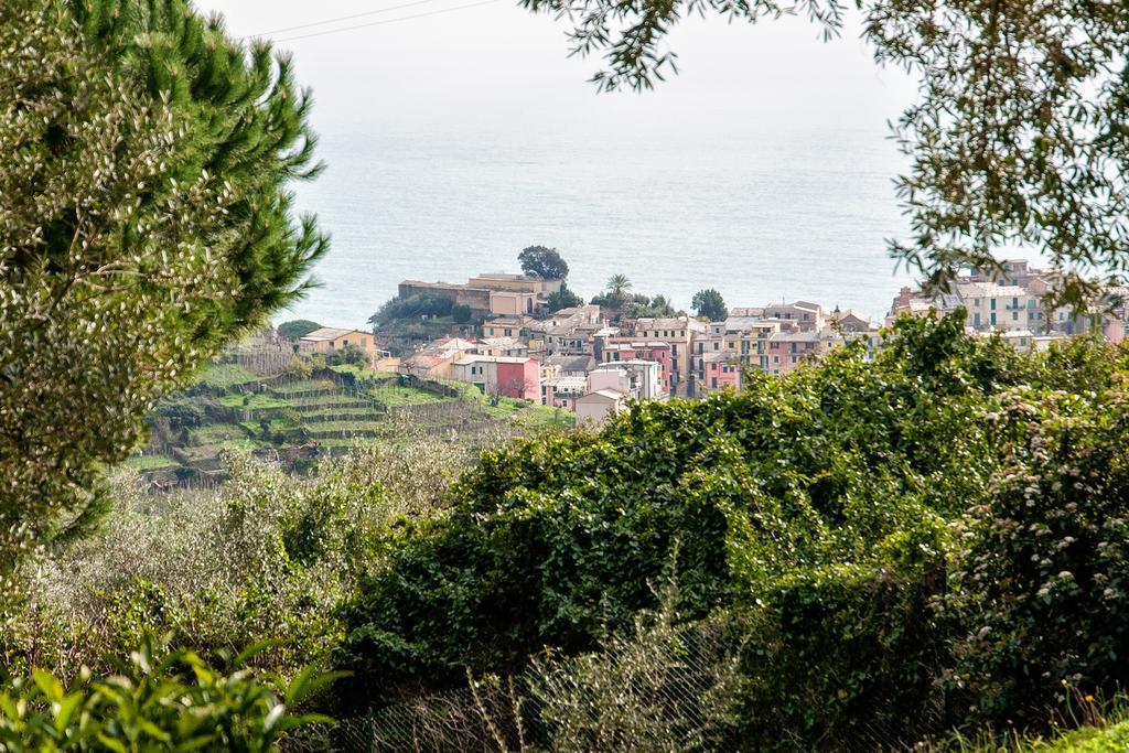 Due Pini Corniglia Exterior foto